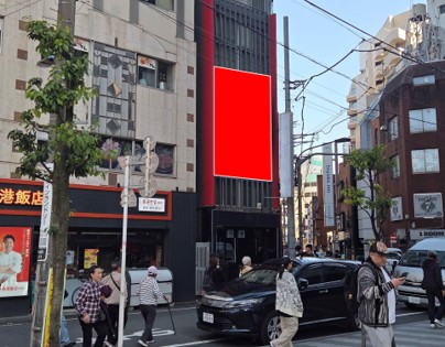 歌舞伎町　新田中ビル（西側壁面）